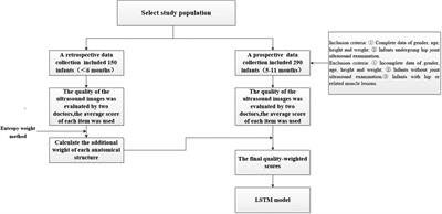 A deep learning model adjusting for infant gender, age, height, and weight to determine whether the individual infant suit ultrasound examination of developmental dysplasia of the hip (DDH)